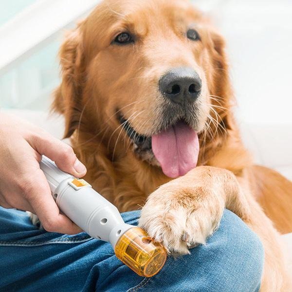 Painless Dog Nail Clippers