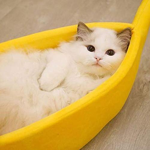 Banana Shape Pet Bed - Image 4