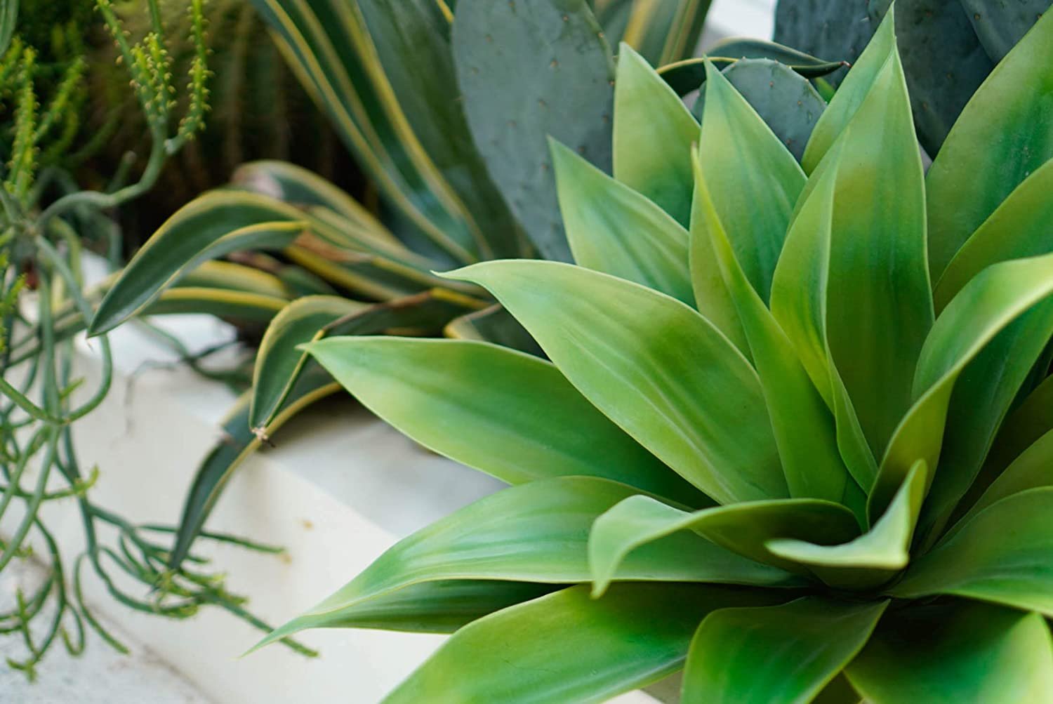 Velener Artificial Agave Plant - Image 20